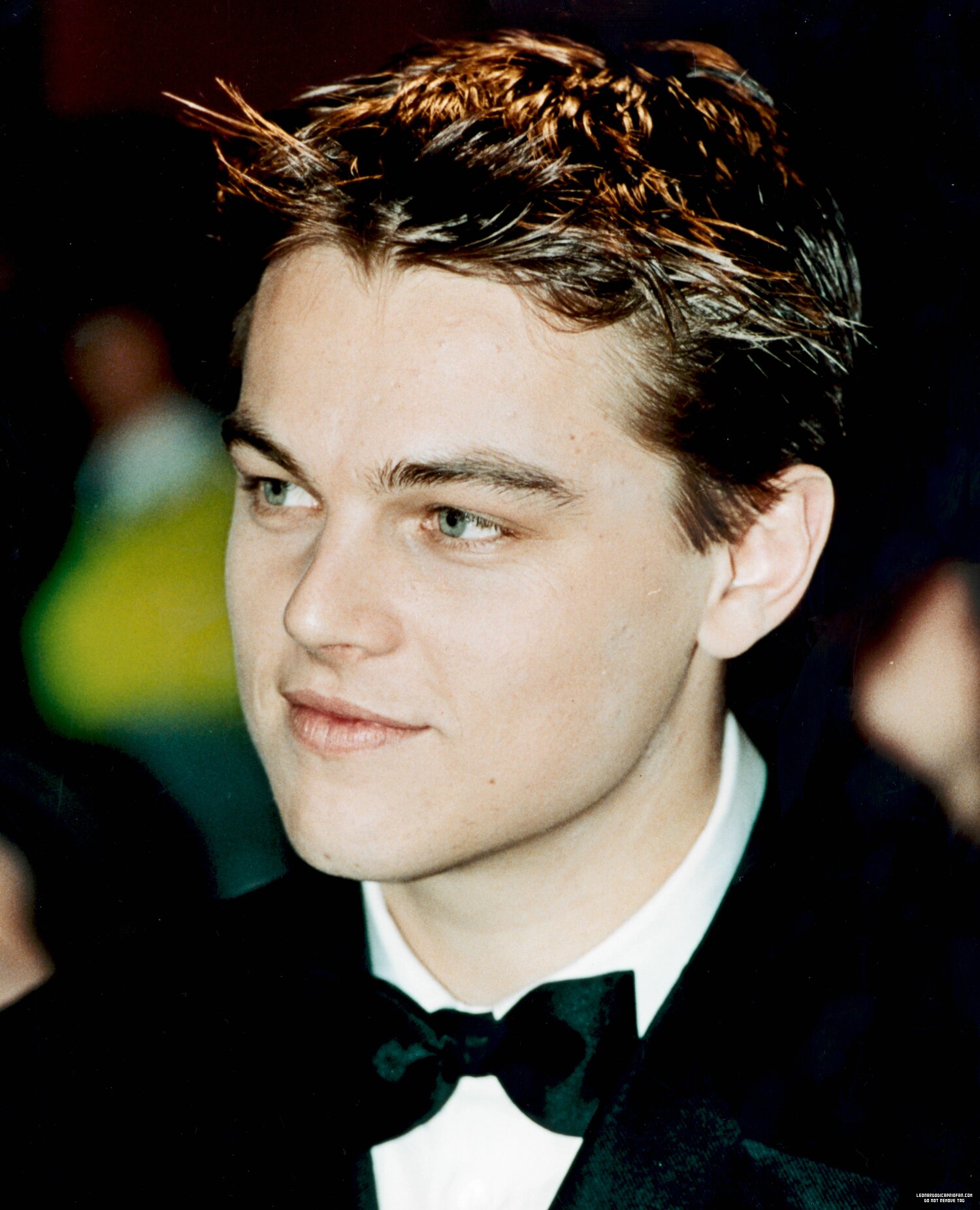 Leonardo DiCaprio photo #438238