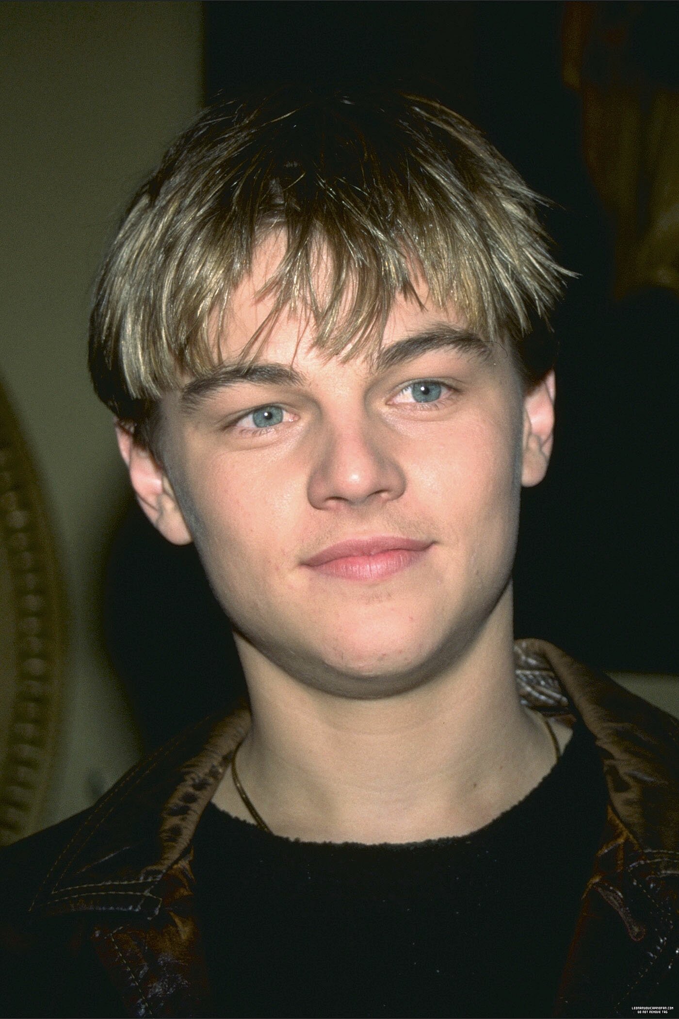 Leonardo DiCaprio photo #346283