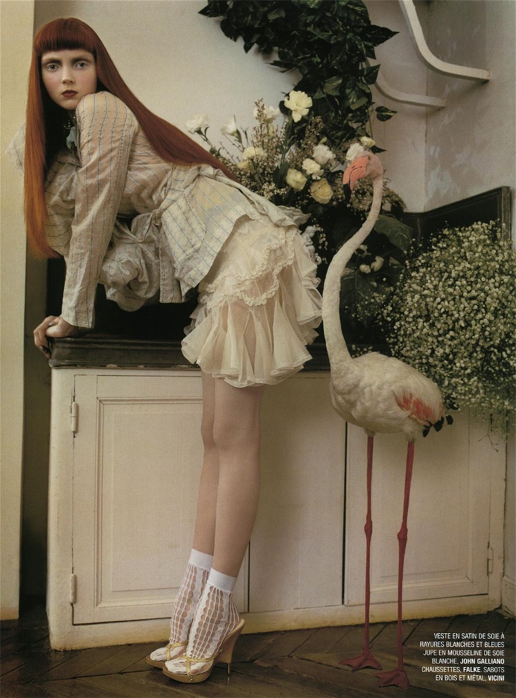 Lily Cole photo #14502