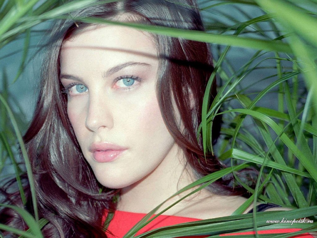 Liv Tyler photo #29572