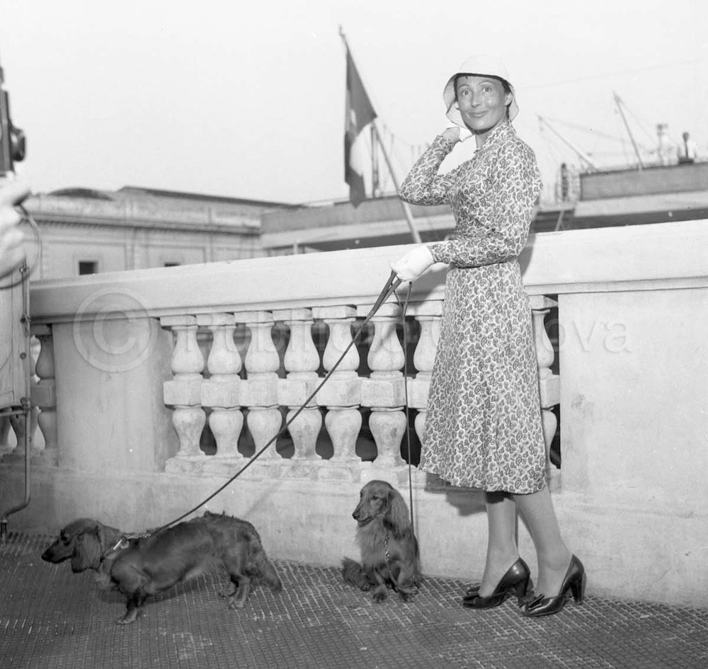Luise Rainer photo #246448