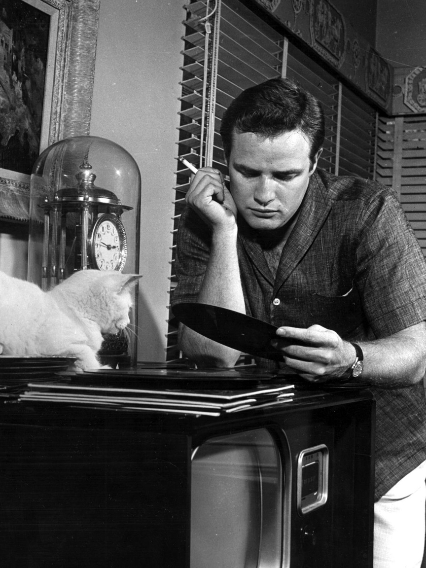 Marlon Brando photo #169355