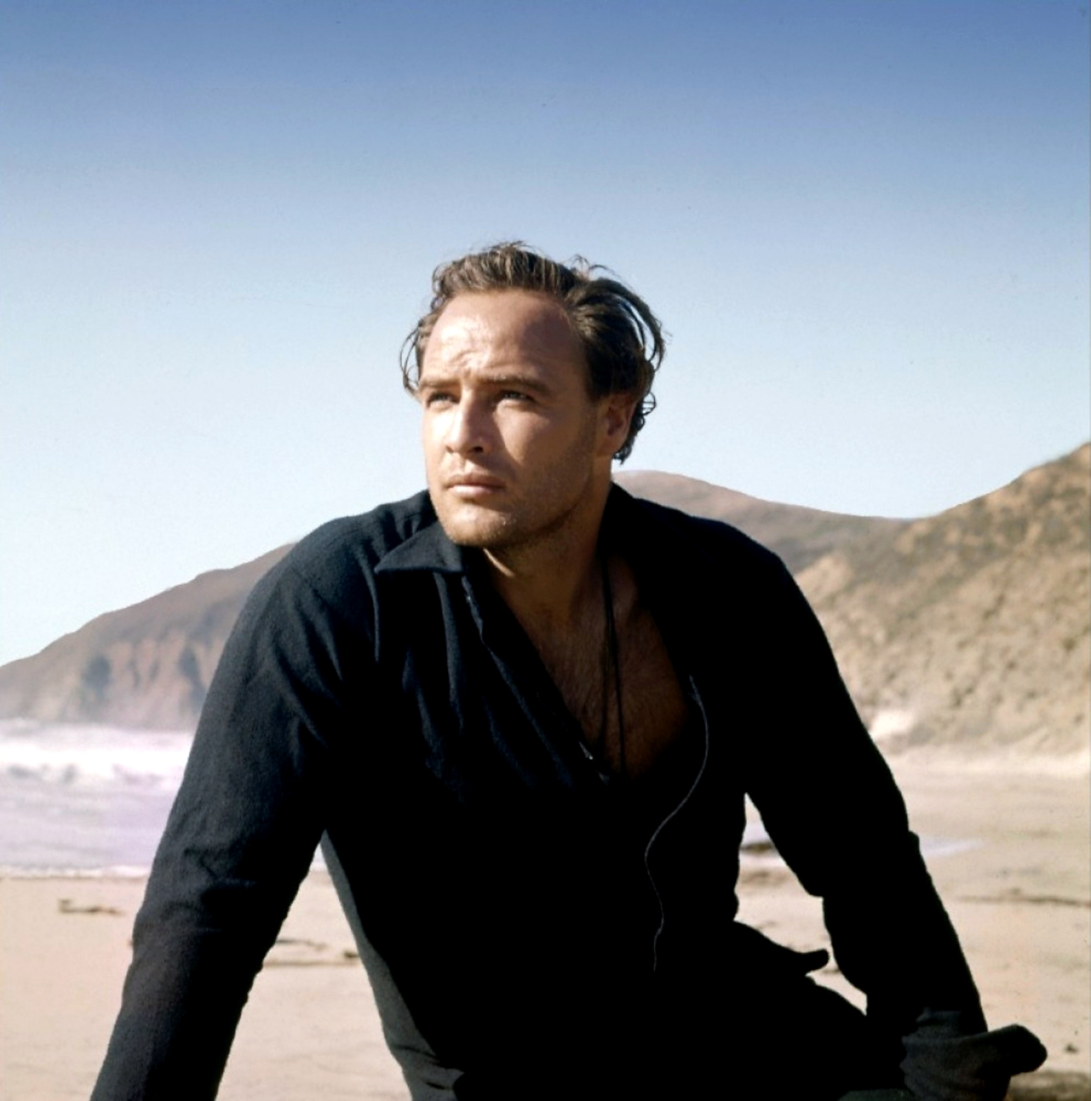 Marlon Brando photo #130524