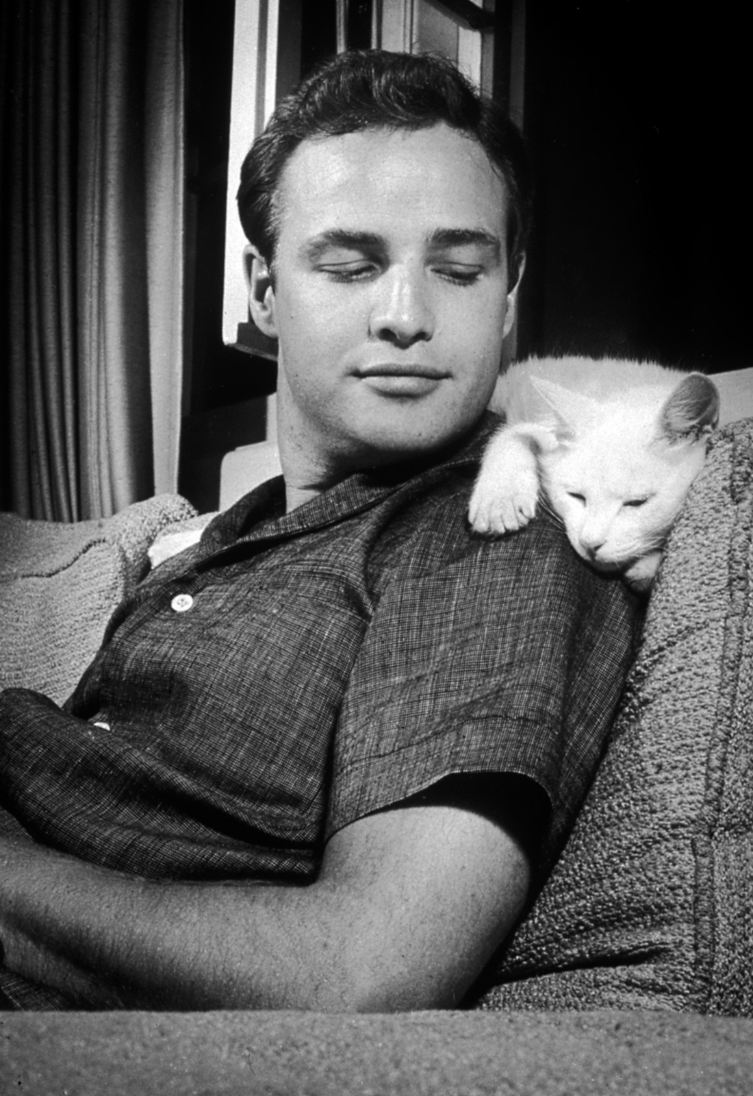 Marlon Brando photo #130533