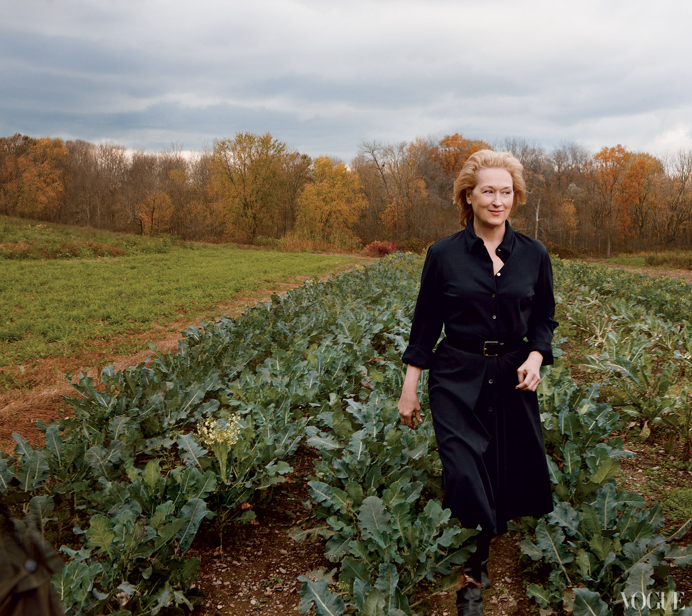 Meryl Streep photo #339514