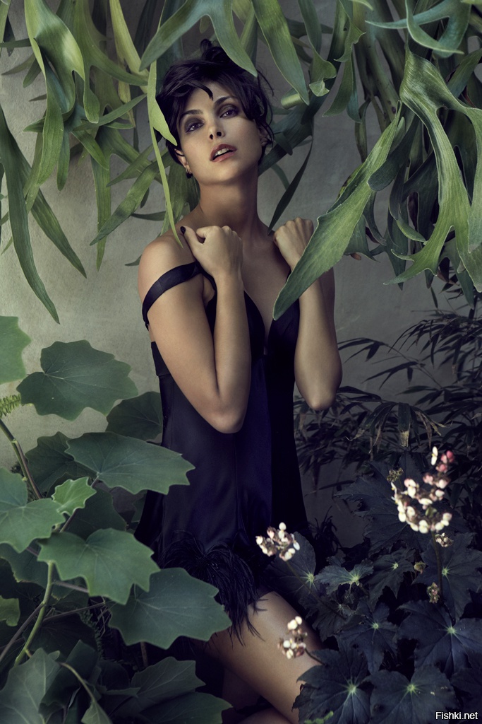 Morena Baccarin photo #1037536