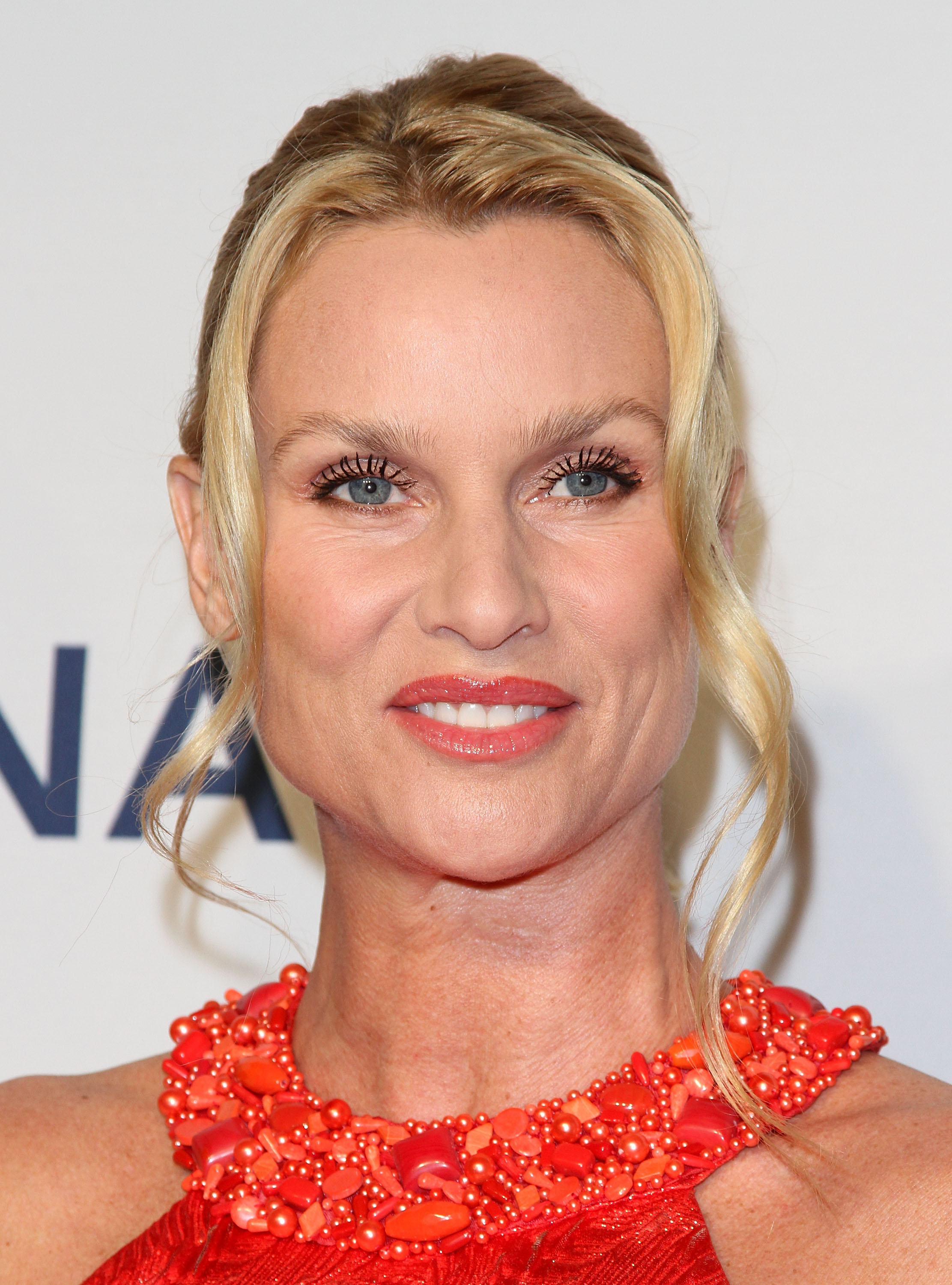 Nicolette Sheridan photo #234314