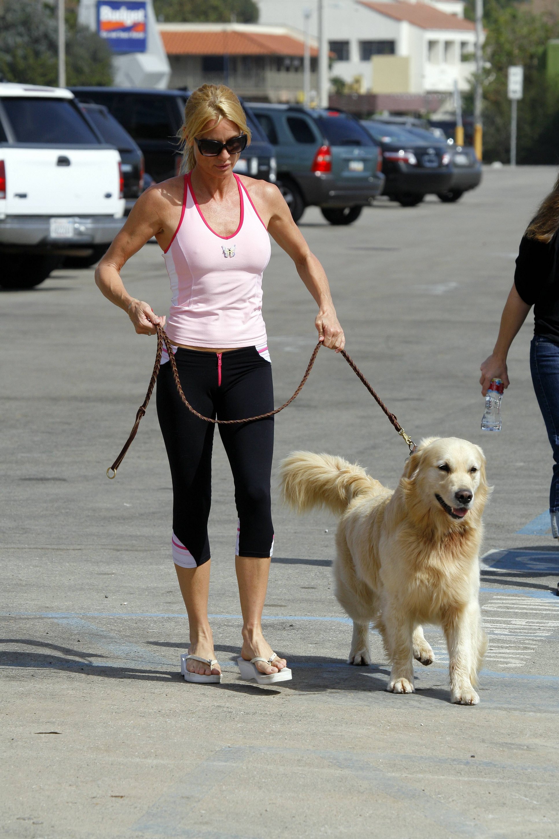 Nicolette Sheridan photo #218806