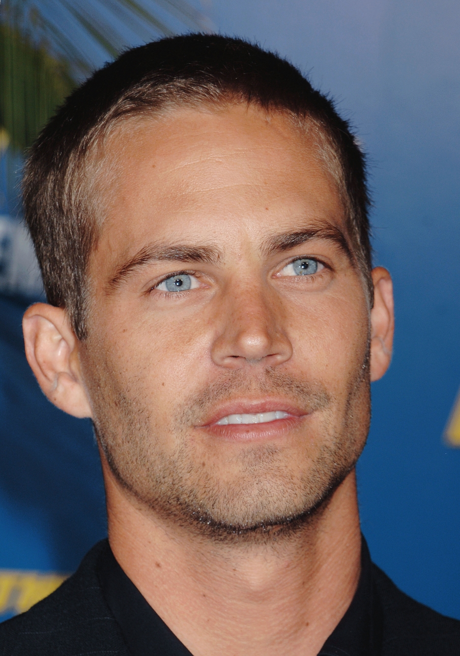 Paul Walker photo #372010