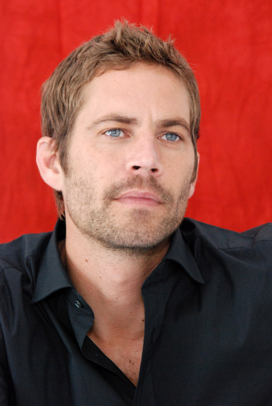 Paul Walker photo #372852