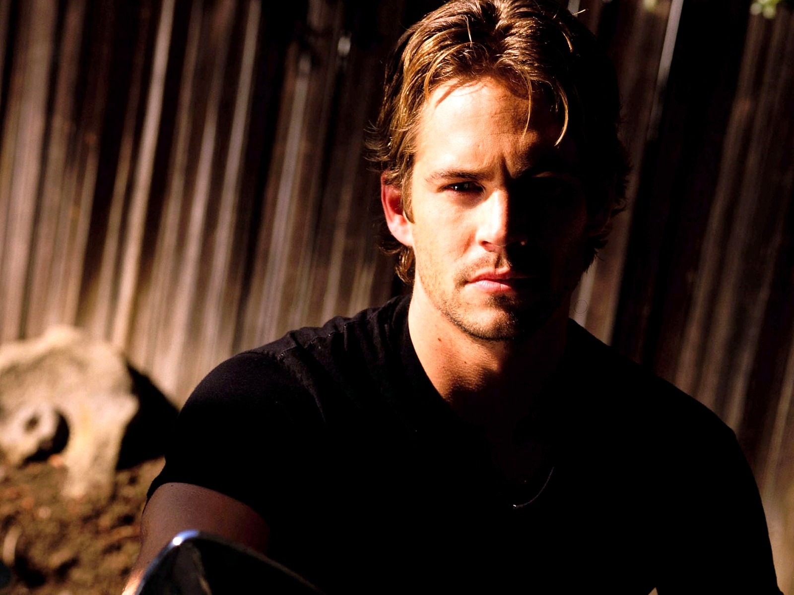 Paul Walker photo #372846