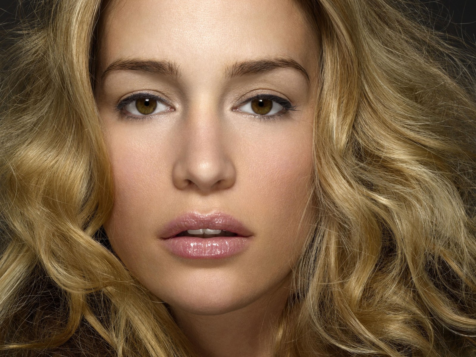 Piper Perabo photo #151931