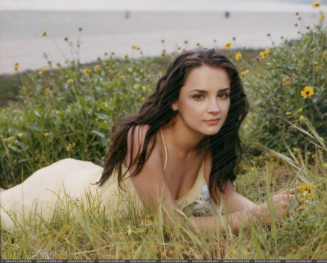 Rachael Leigh Cook photo #48556