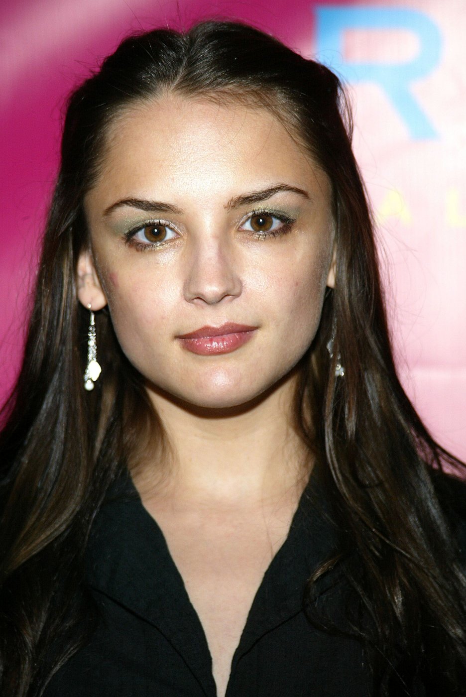 Rachael Leigh Cook photo #48553