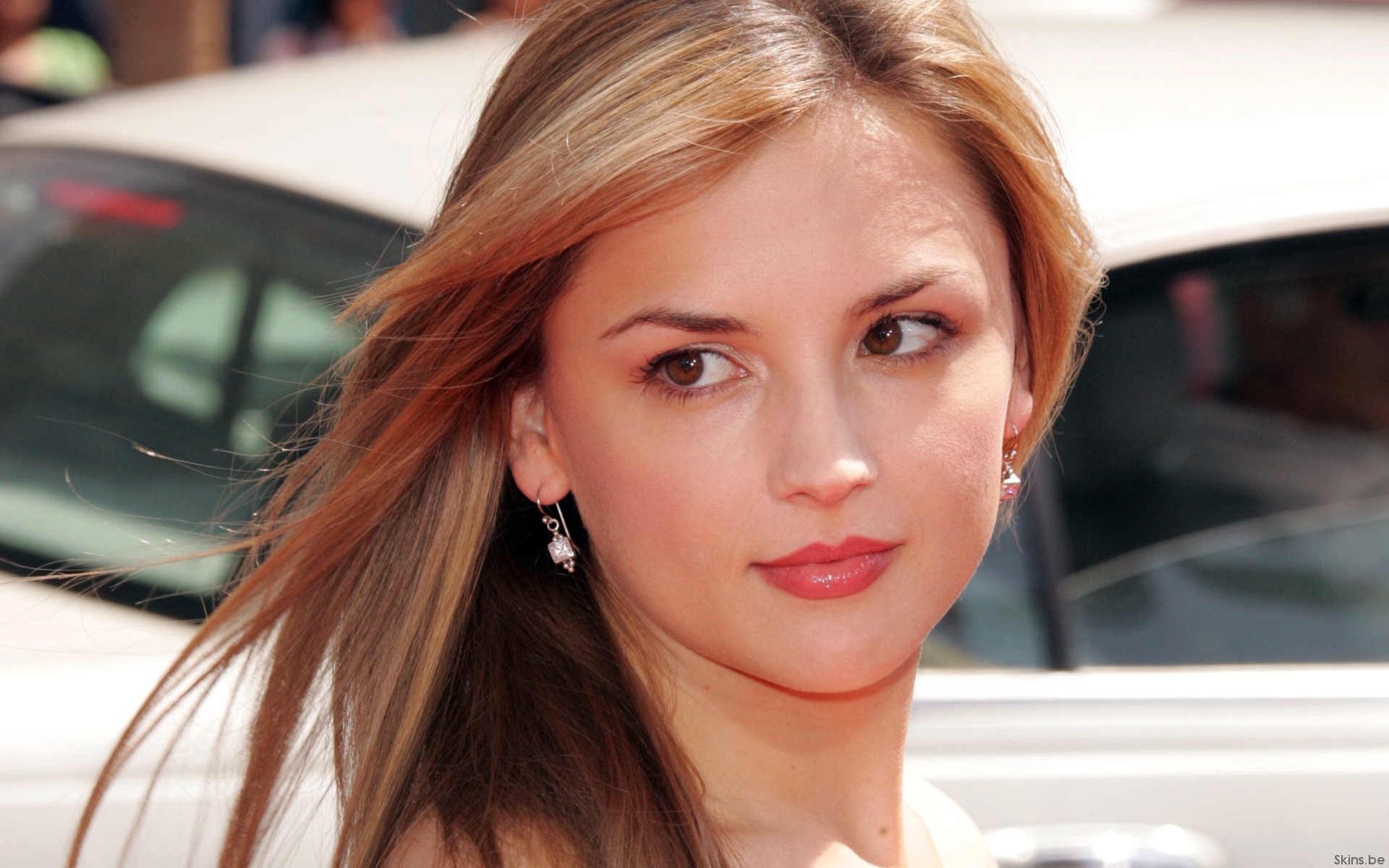 Rachael Leigh Cook photo #81952