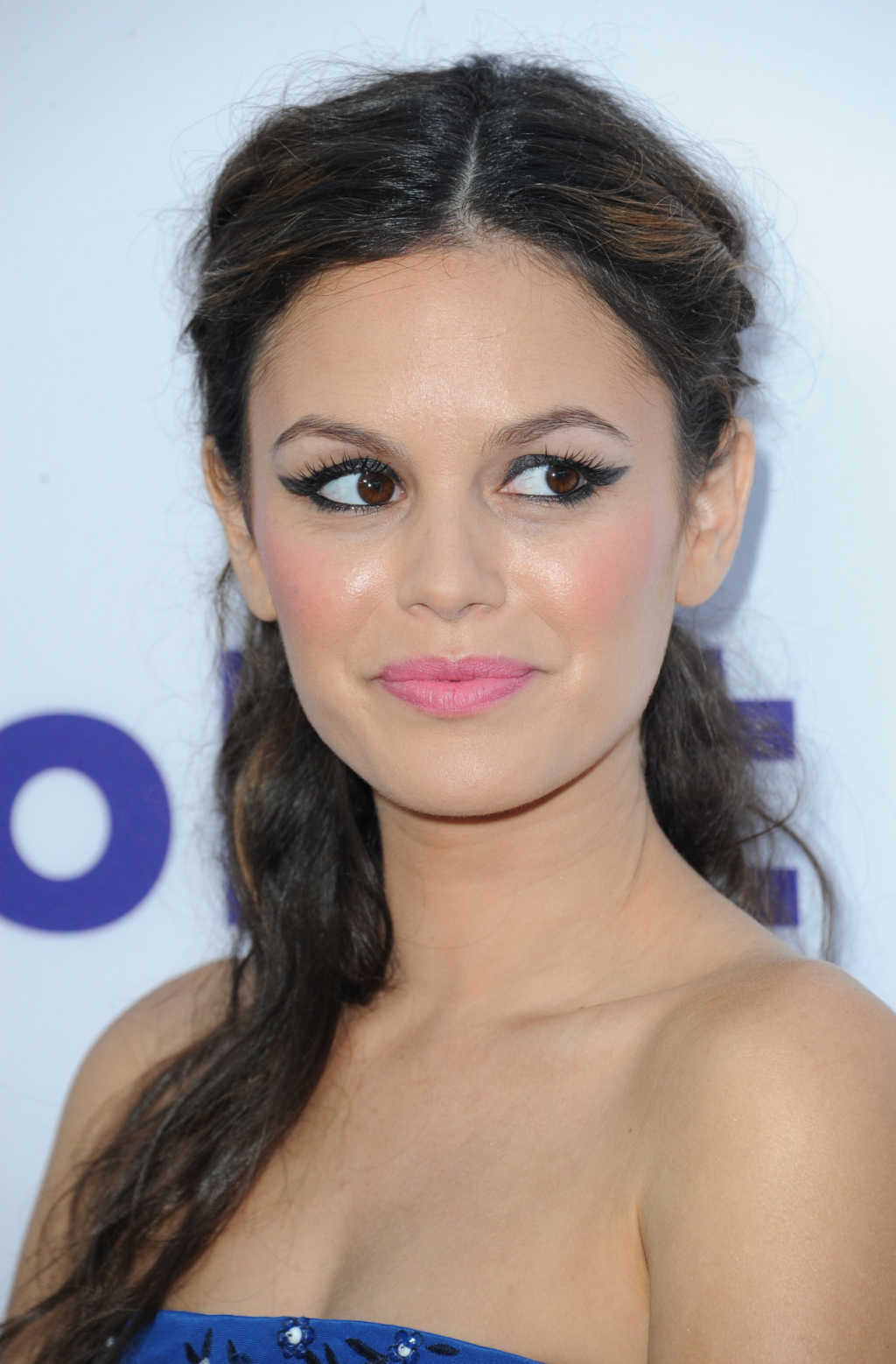 Rachel Bilson photo #514697