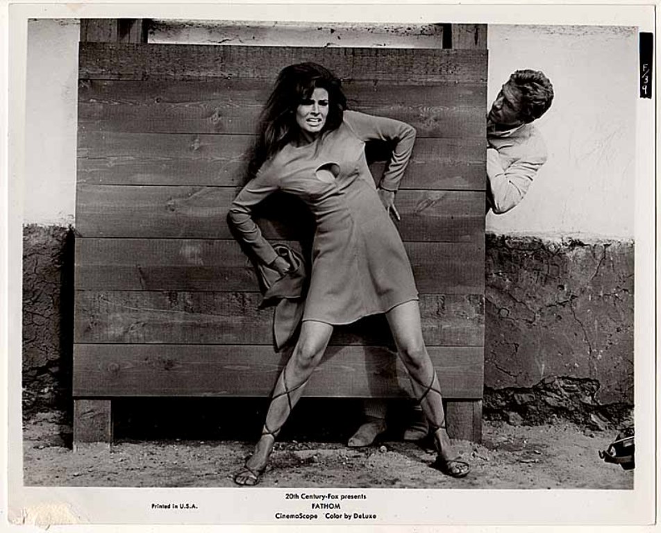 Raquel Welch photo #114373