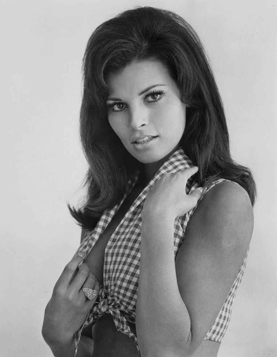 Raquel Welch photo #114343