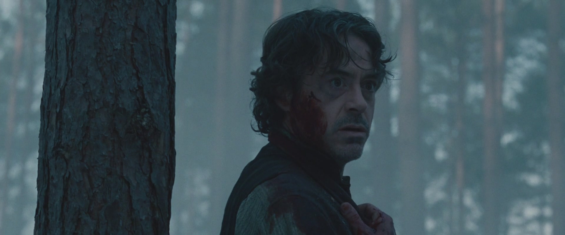 Robert Downey Jr. photo #642780