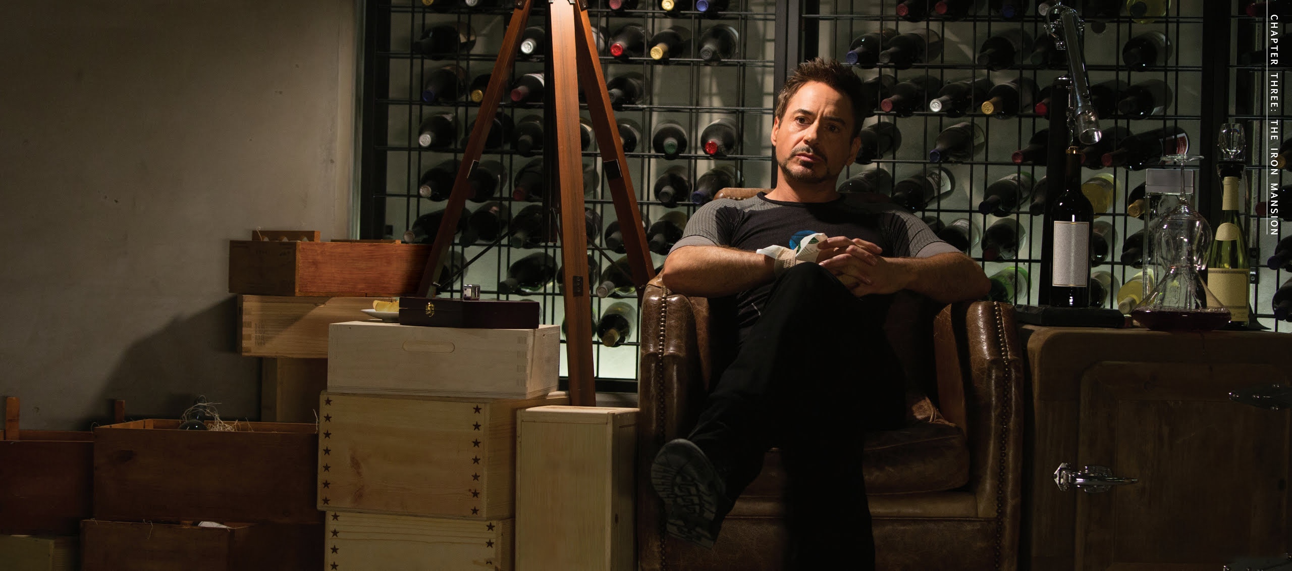 Robert Downey Jr. photo #924063