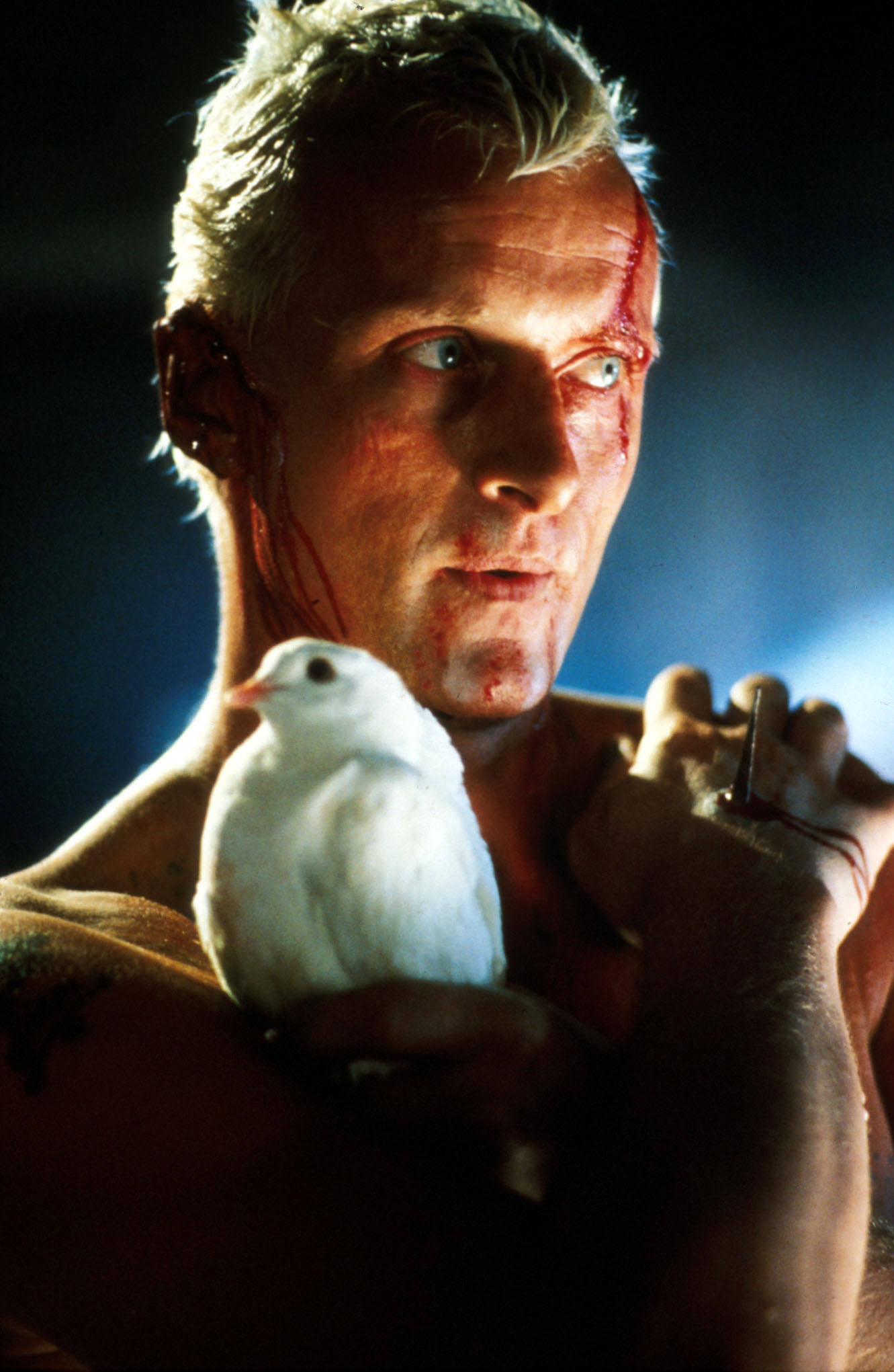 Rutger Hauer photo #133695