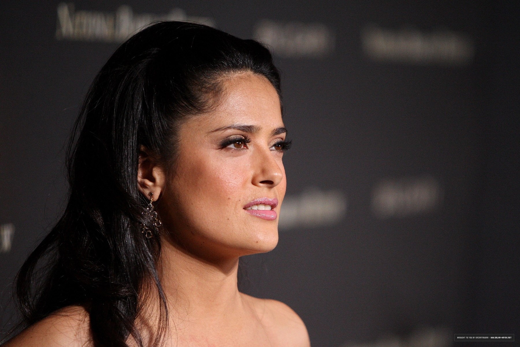 Salma Hayek photo #108588