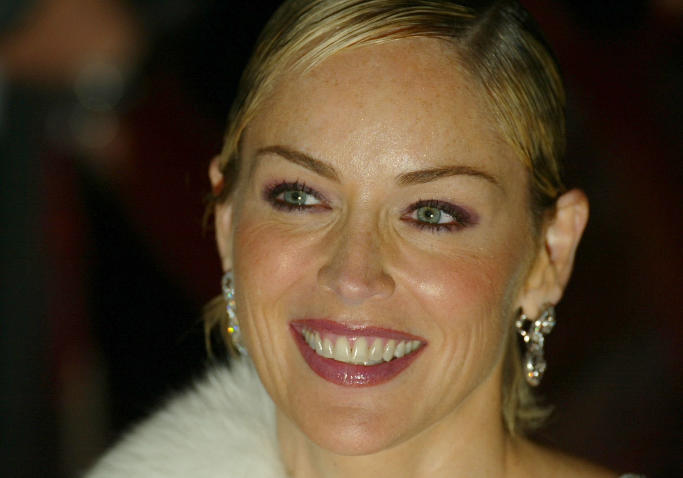 Sharon Stone photo #9345