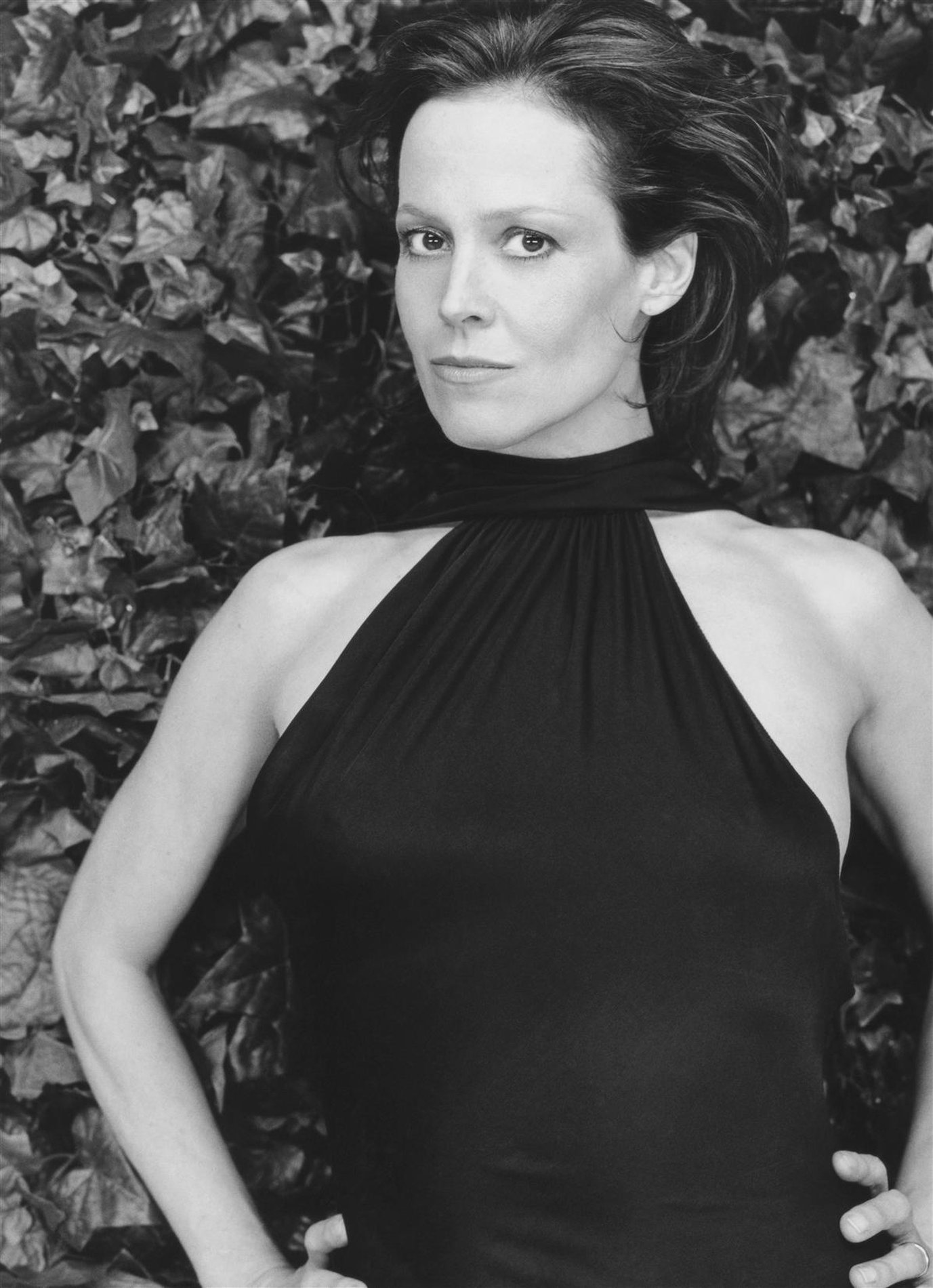 Sigourney Weaver photo #146803