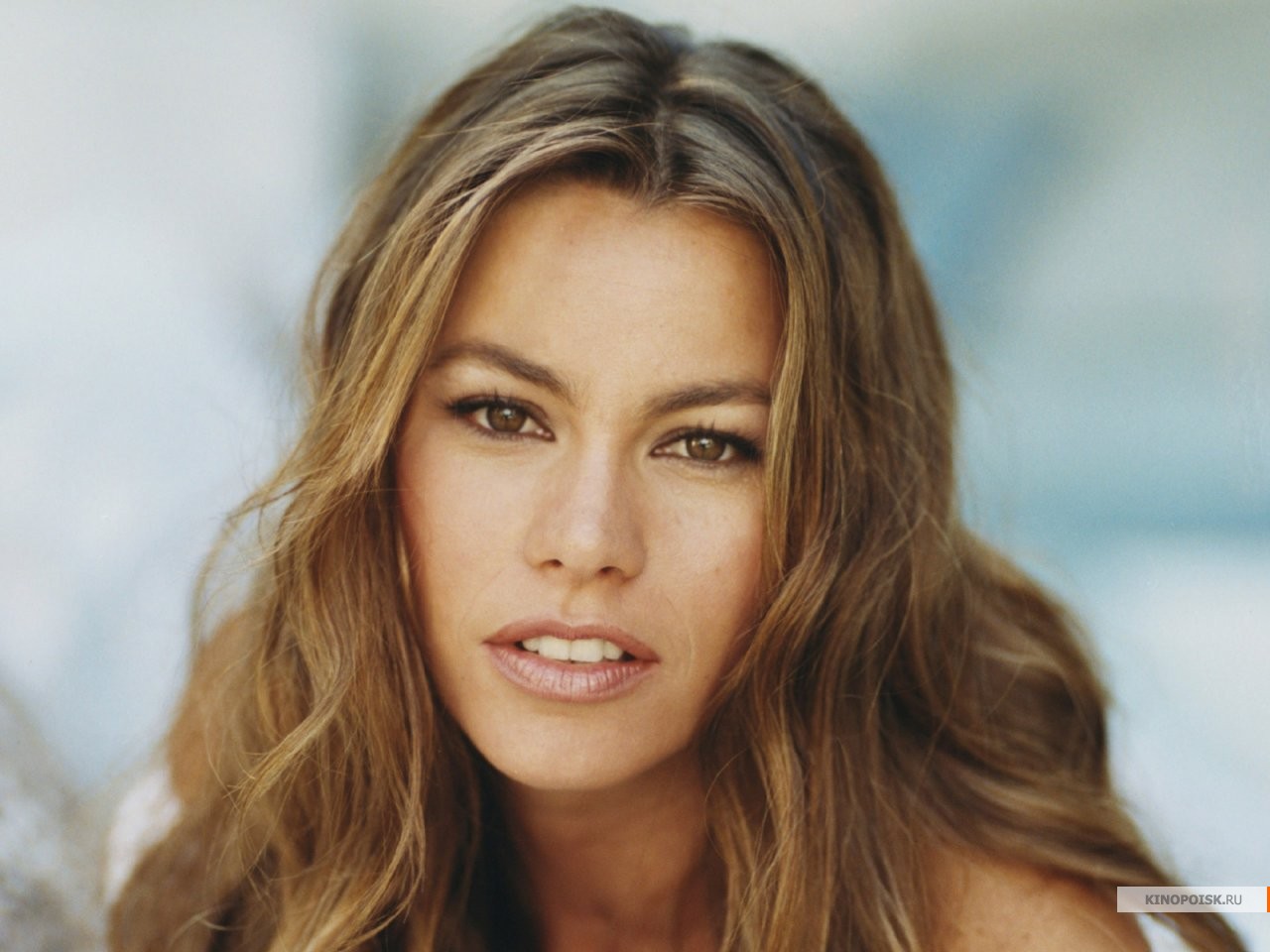 Sofia Vergara photo #122827