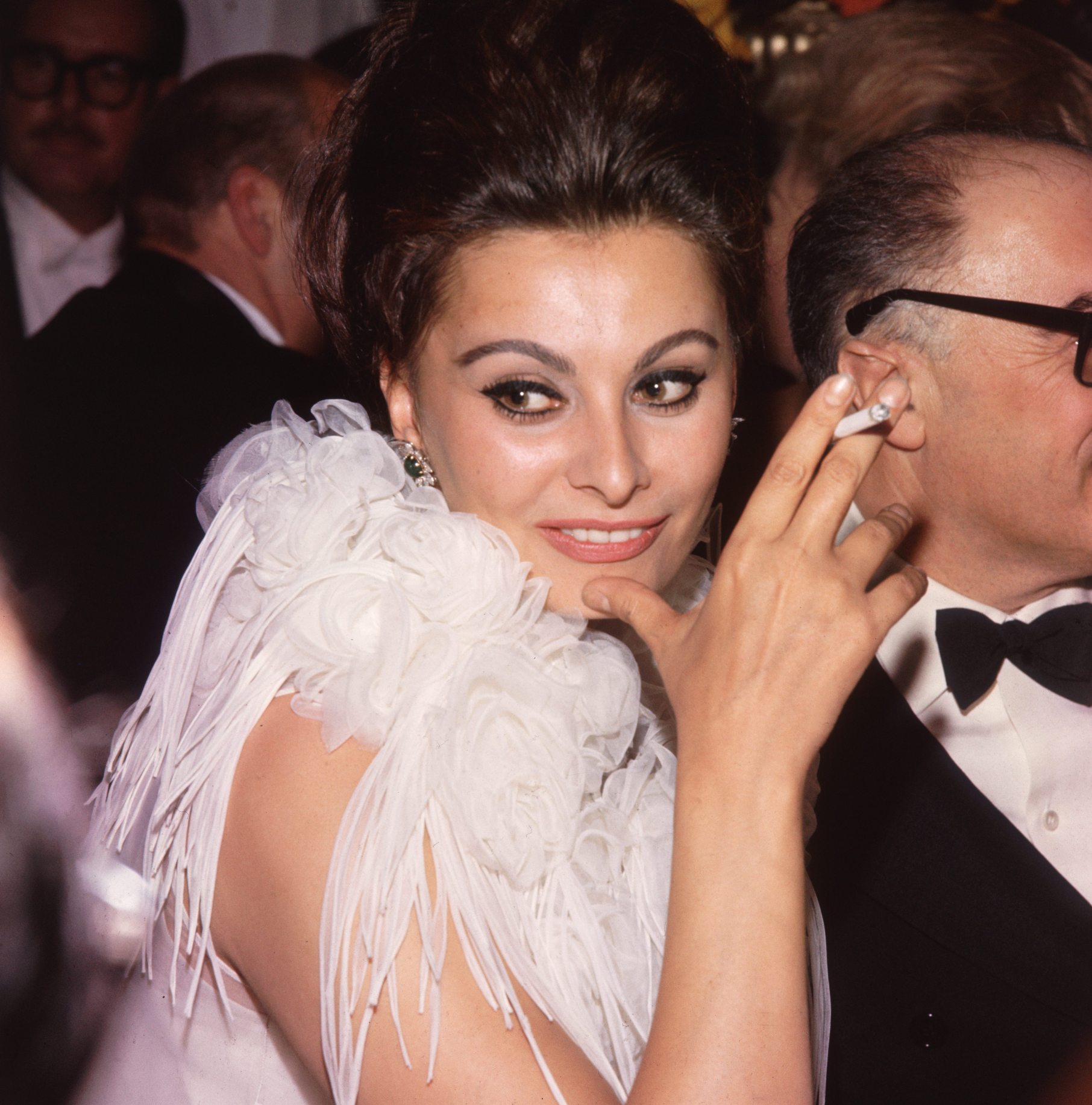 Sophia Loren photo #104042