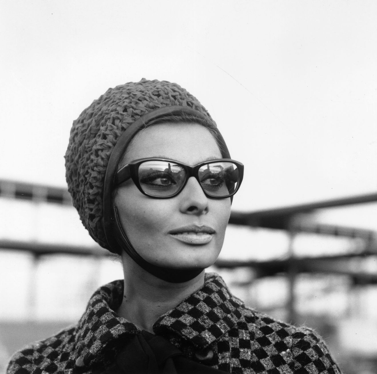 Sophia Loren photo #103716