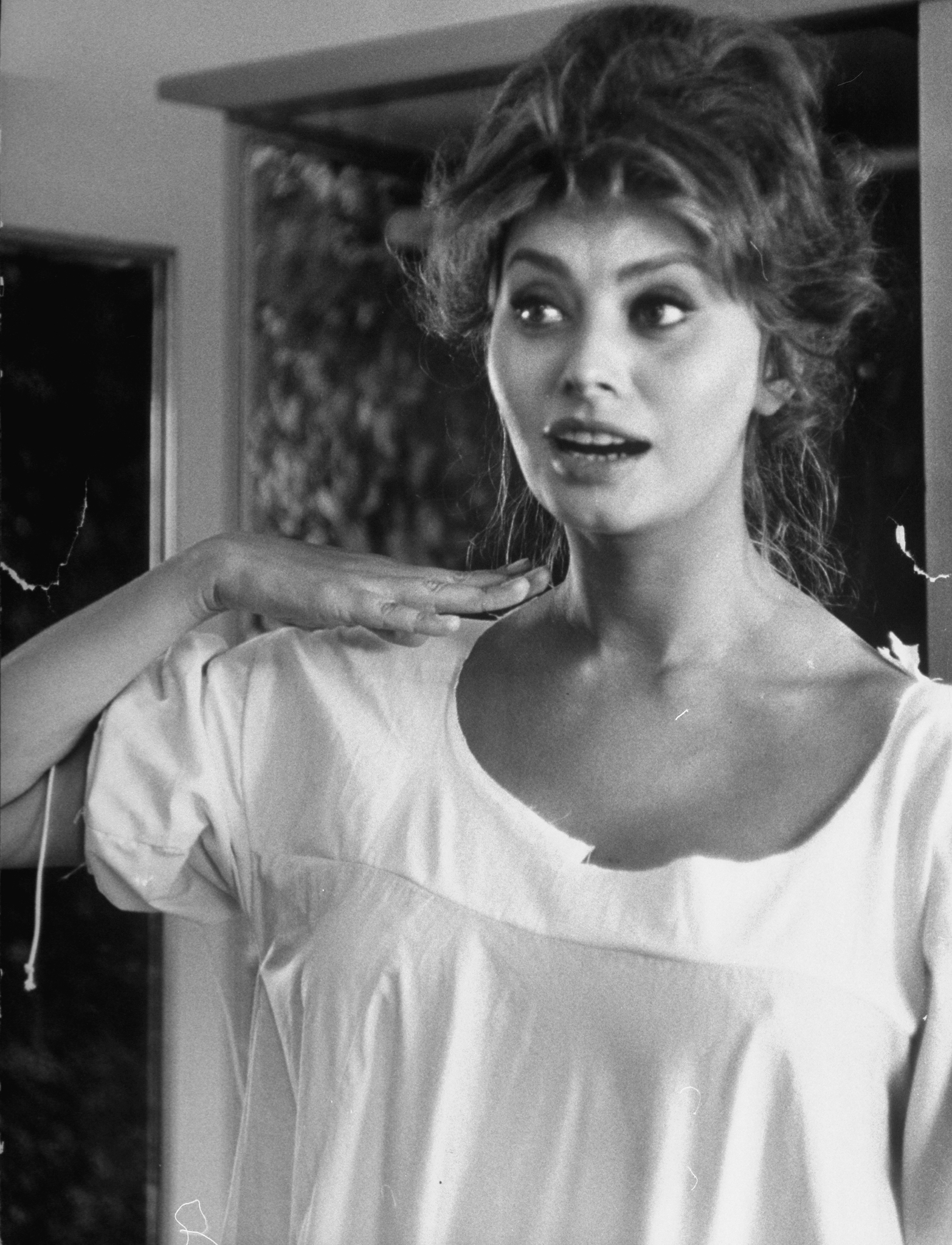 Sophia Loren Photo Celebs Place Com