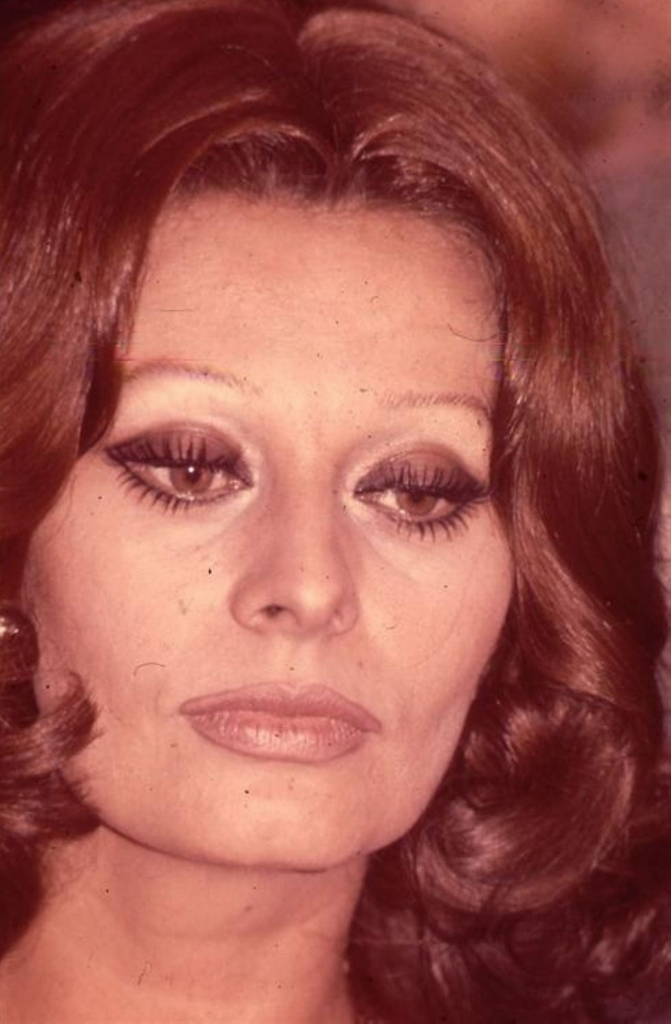 Sophia Loren Photo Celebs Place Com