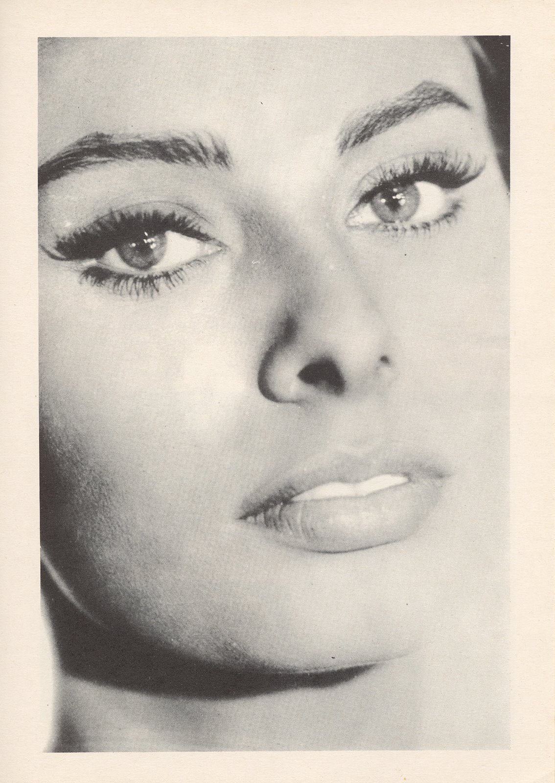 Sophia Loren photo #172555