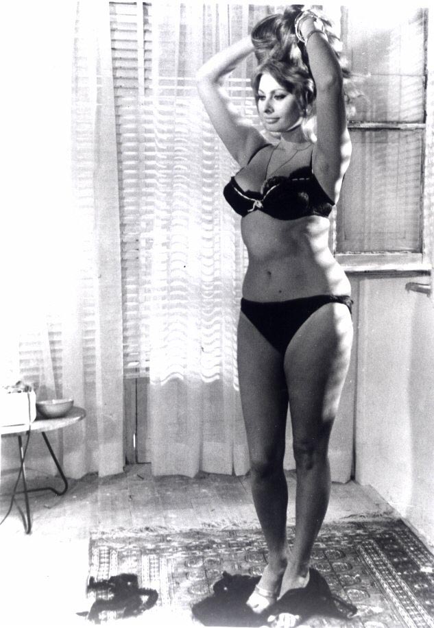 Sophia Loren photo #29852