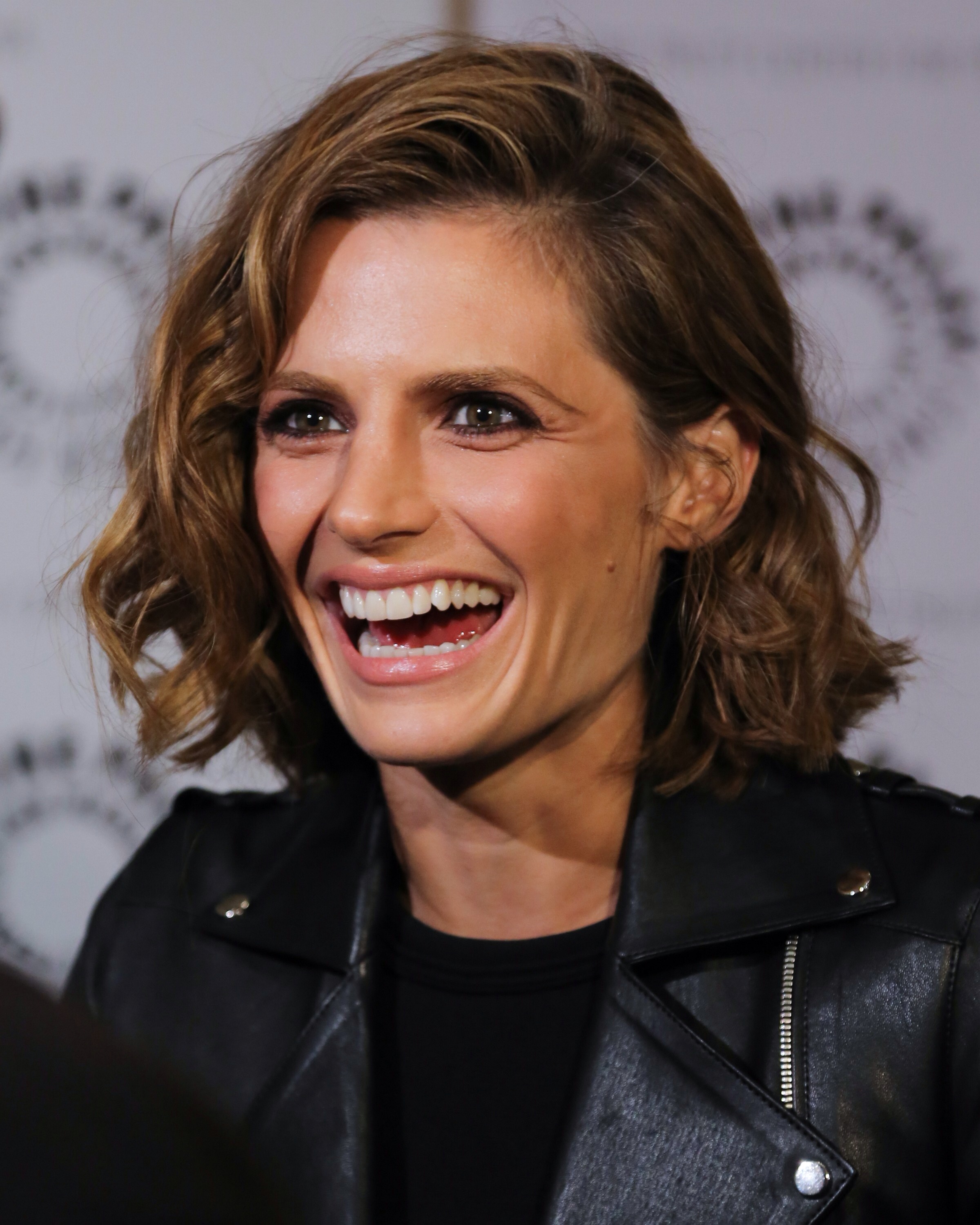 Stana Katic photo #532176