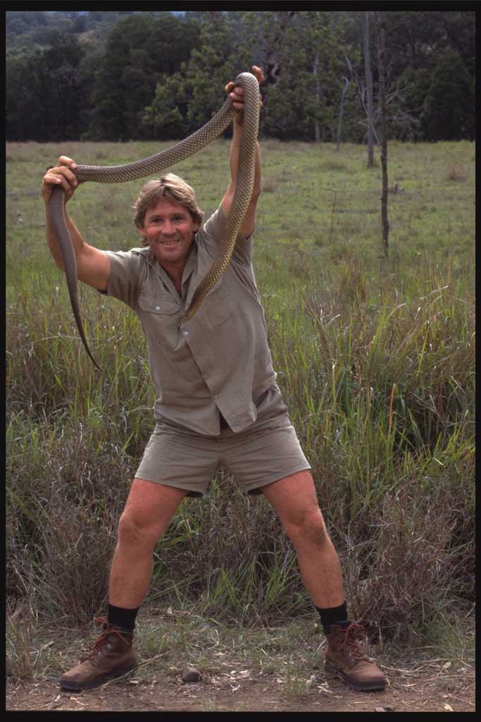 Steve Irwin photo #149847
