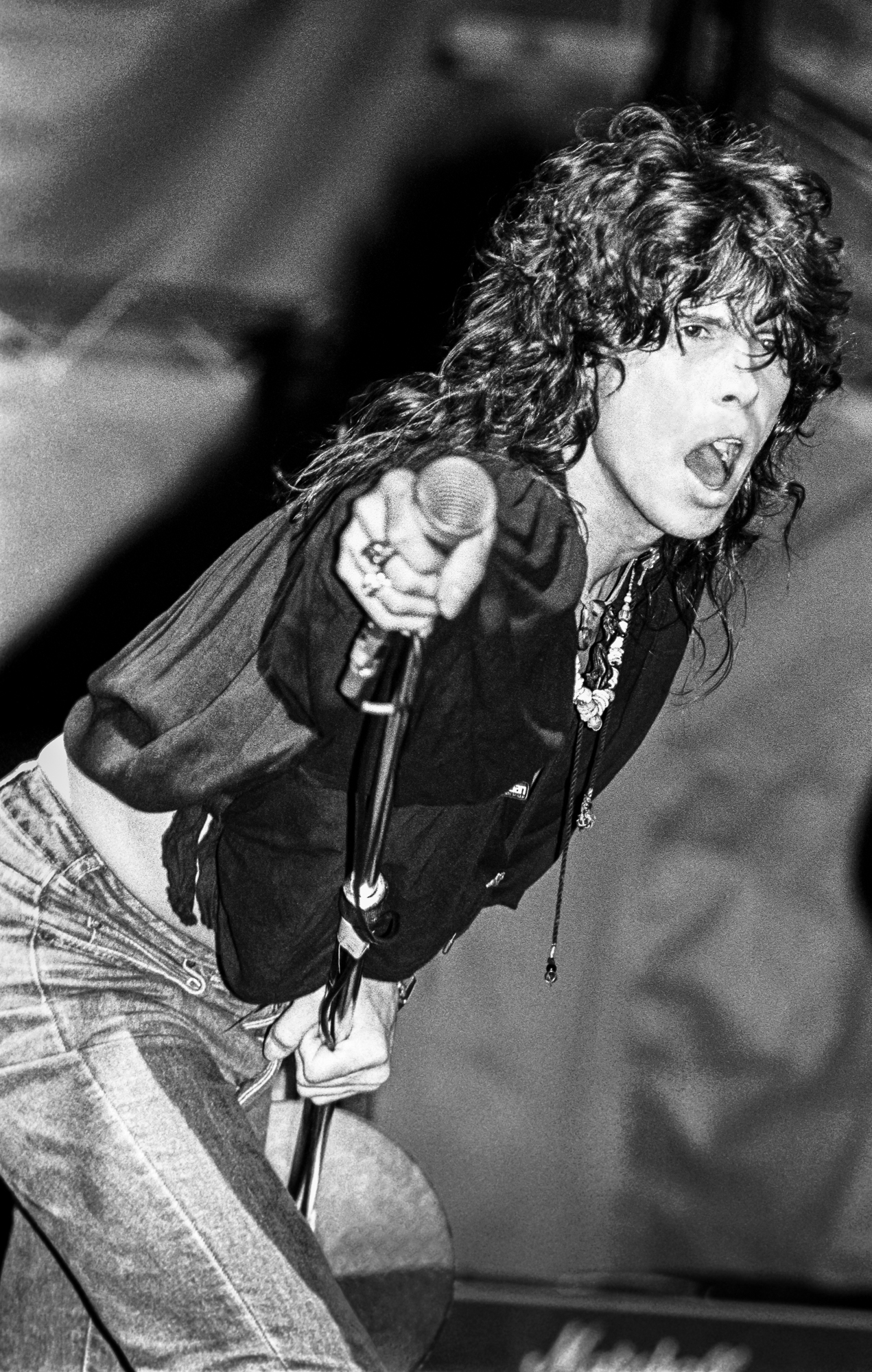 Steven Tyler photo #1046375