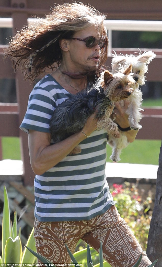 Steven Tyler photo #538651