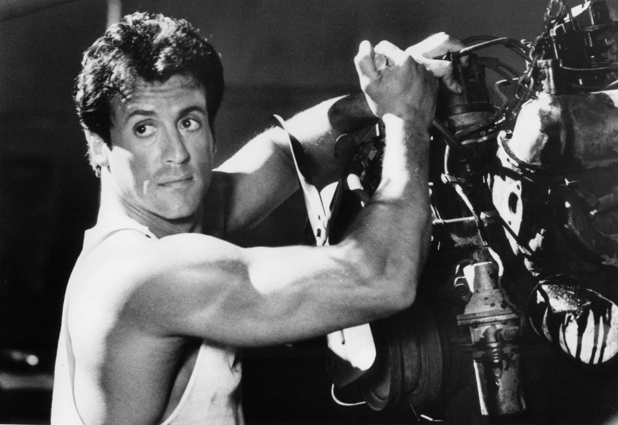 Sylvester Stallone photo #1038350