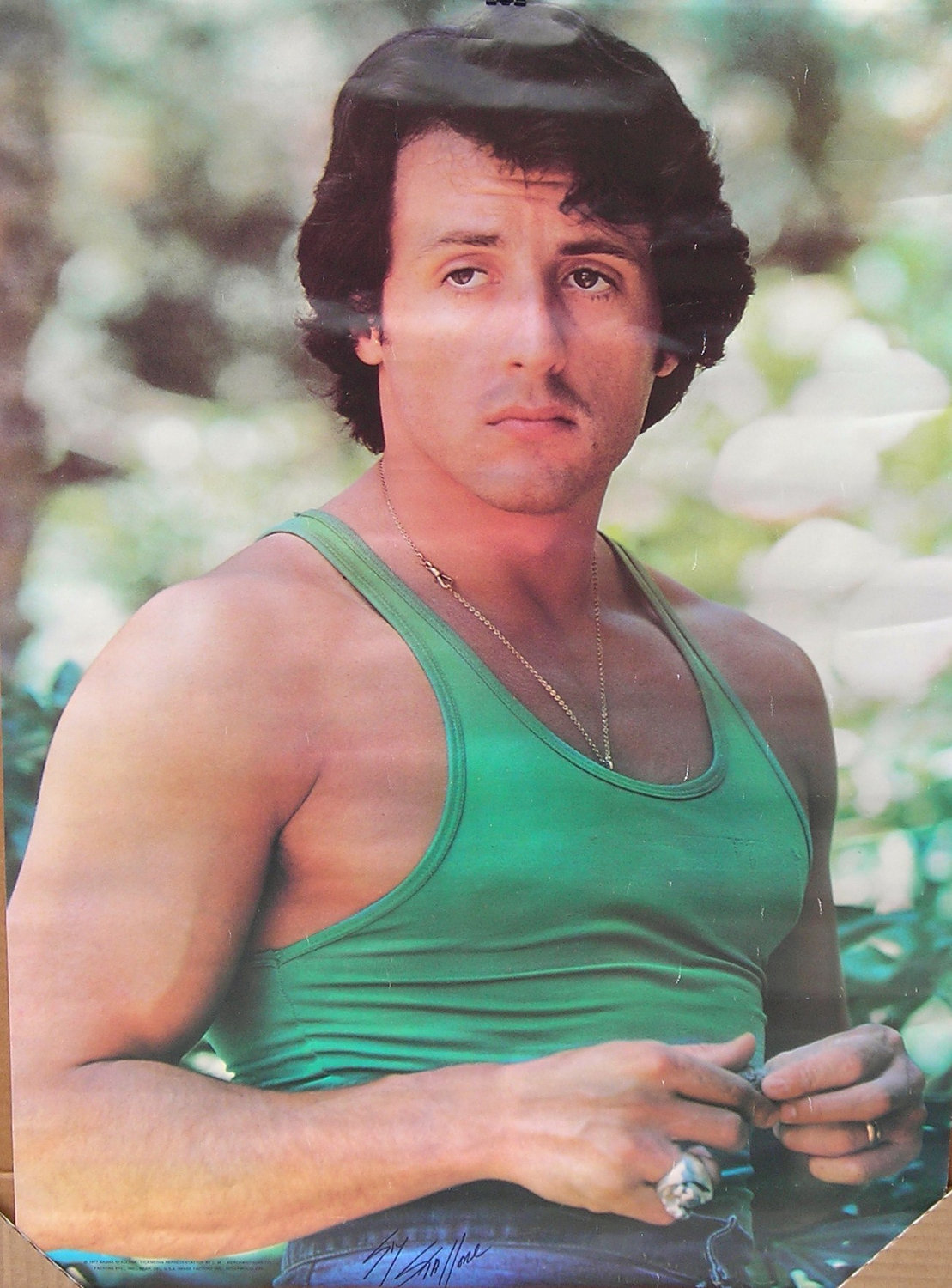 Sylvester Stallone photo #447182