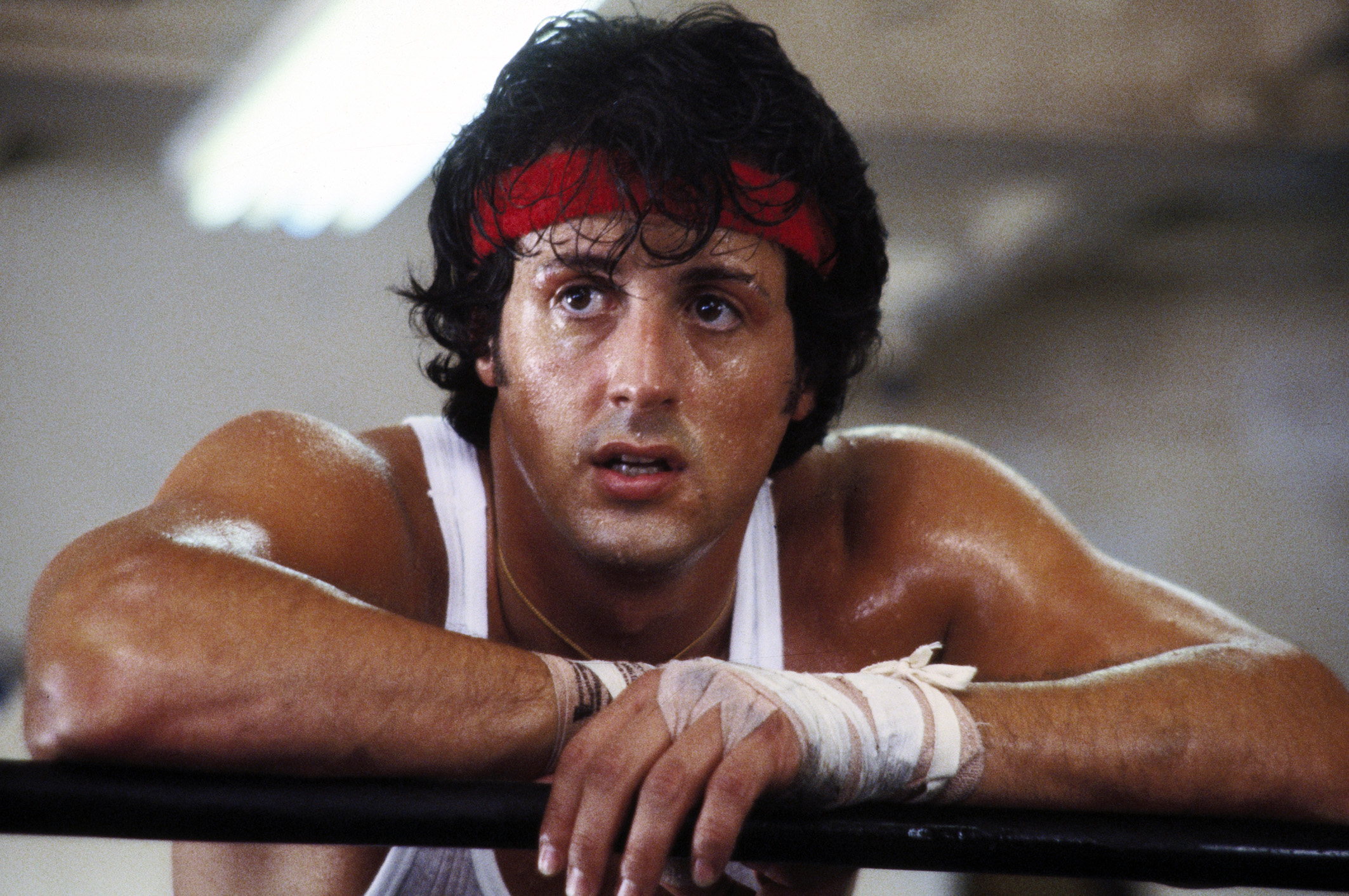 Sylvester Stallone photo #1038343