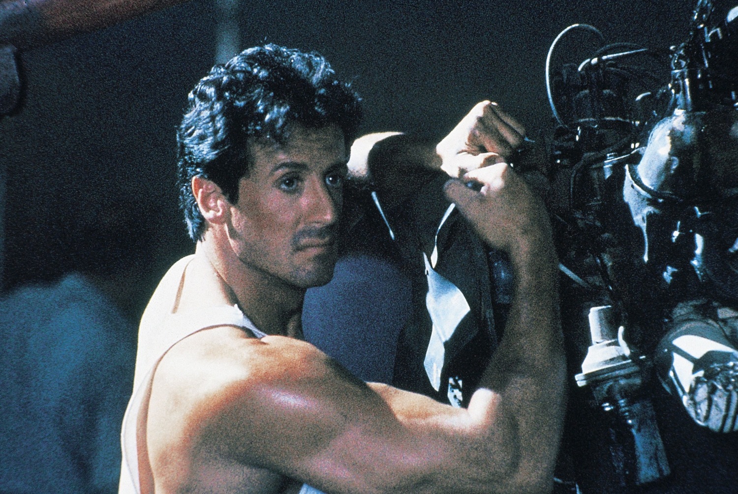 Sylvester Stallone photo #1038348