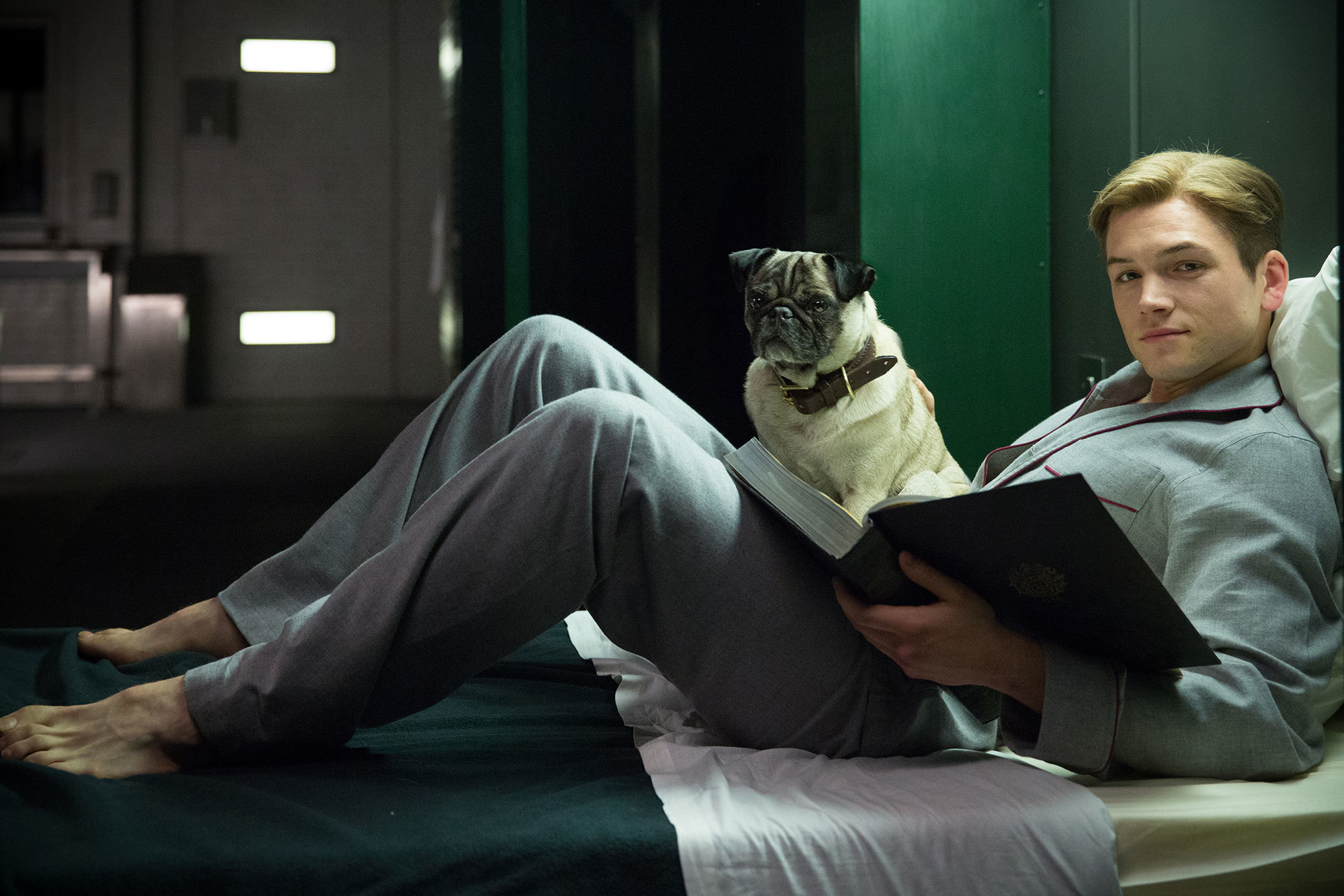 Taron Egerton photo #1039470