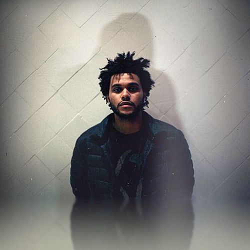 The Weeknd photo #563340