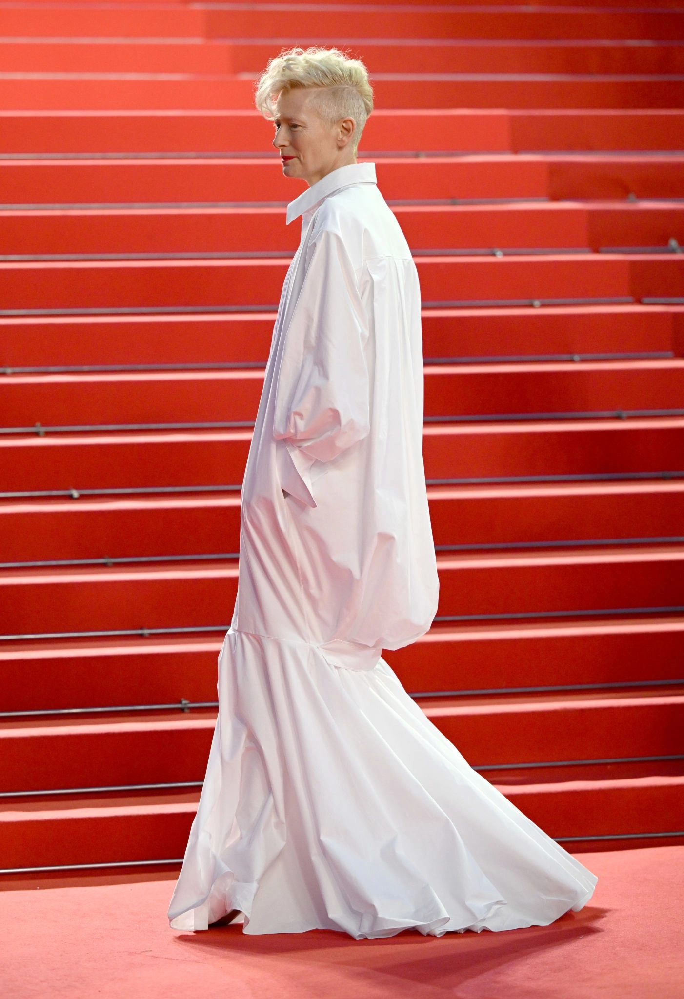 Tilda Swinton photo #1029456