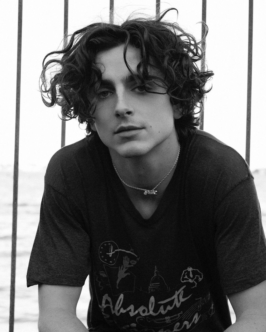 Timothee Chalamet photo #1048479