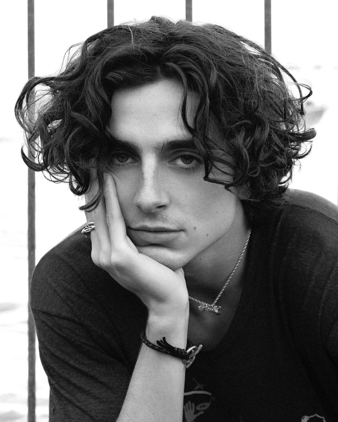 Timothee Chalamet photo #1048478