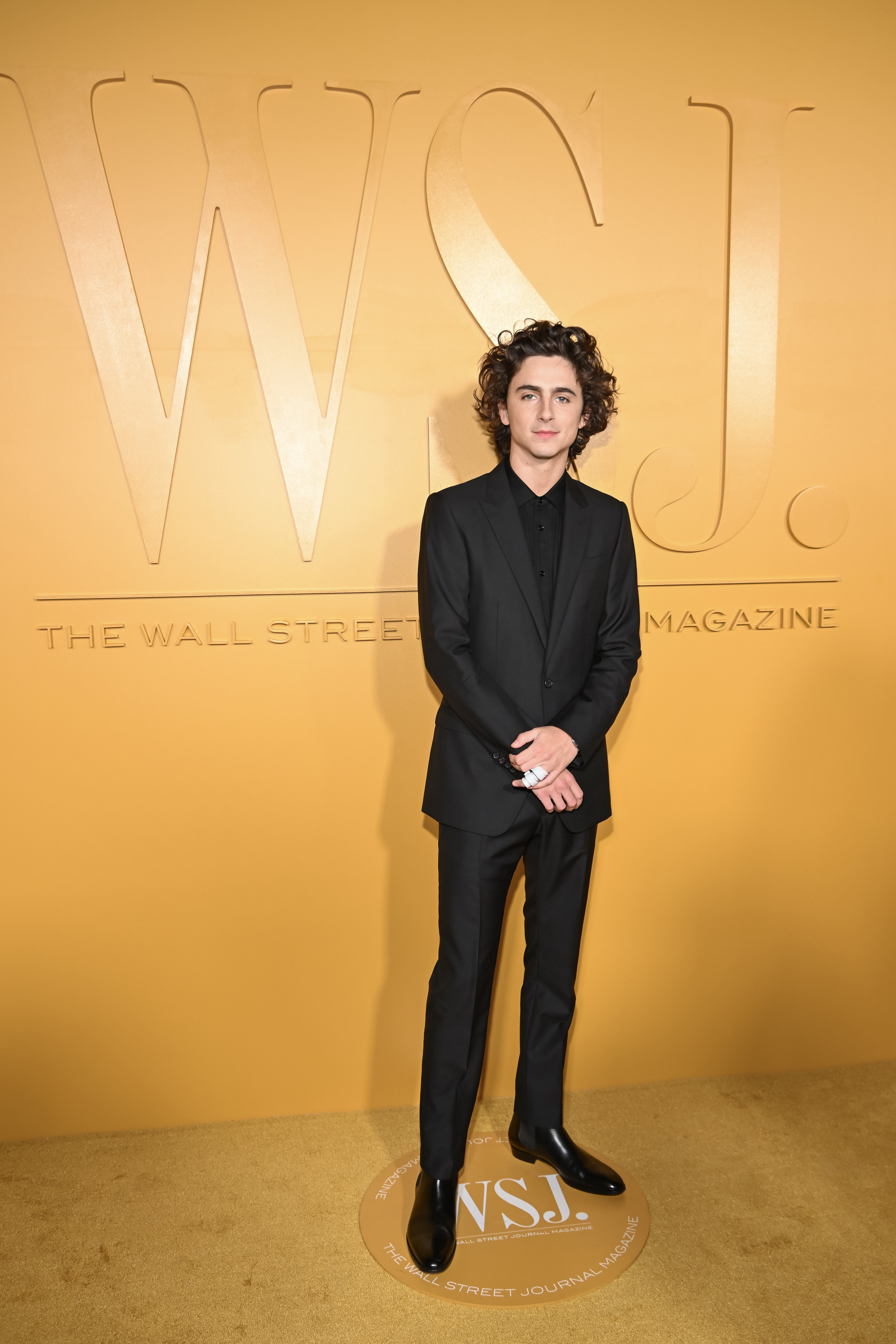 Timothee Chalamet photo #1062292