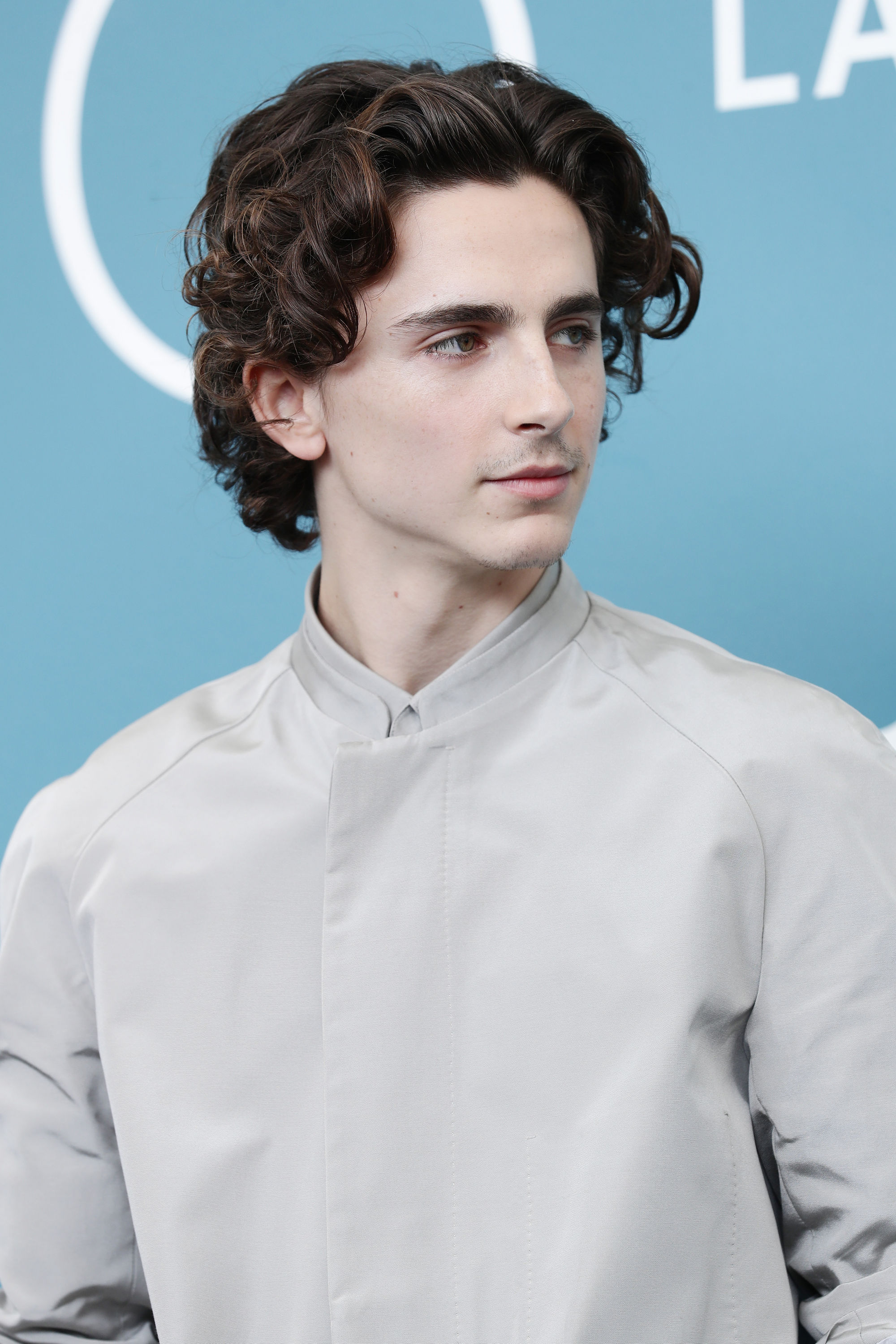 Timothee Chalamet photo #1045110